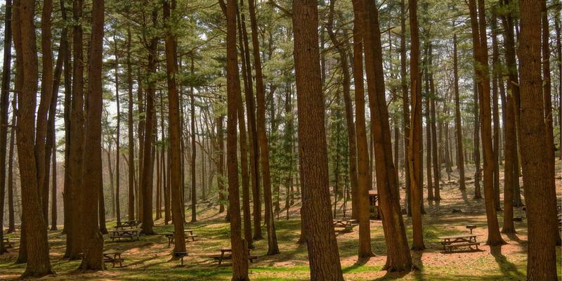 从矿产开发到工业升级：白云石粉体在塑料与橡胶中的填充改性应用解析