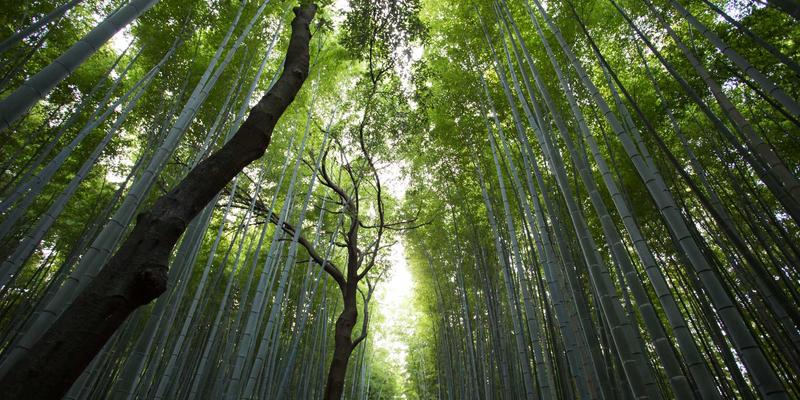 白云石28:从冶金到建筑,揭秘多领域核心工业原料的价值与应用