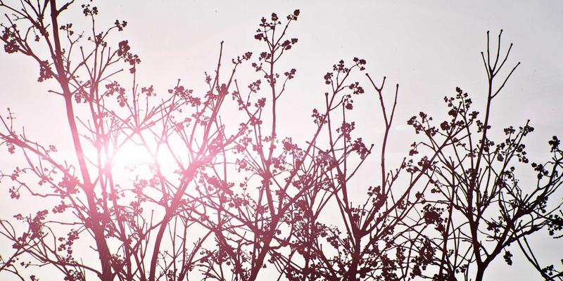 白云石36：多领域应用的核心矿物，揭秘其在建筑与冶金工业的关键角色