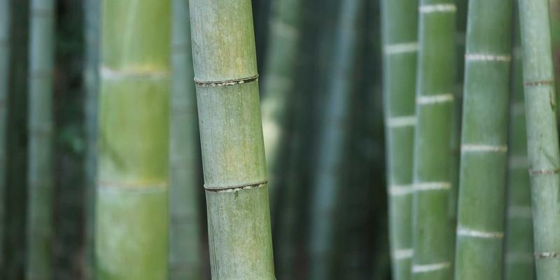 白云石63:多领域应用的核心矿产,从冶金到建筑的绿色原料