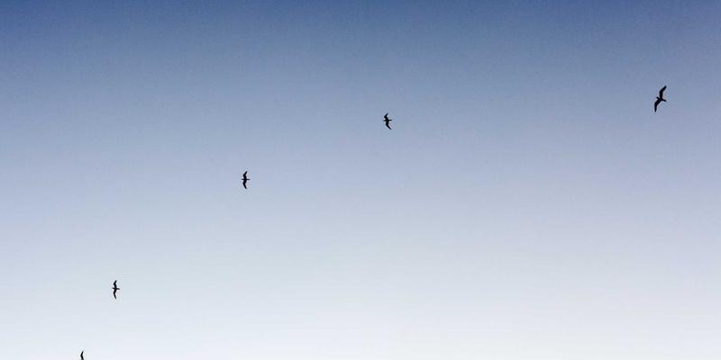 白云石72:揭秘工业、冶金与化工领域的多面手原料