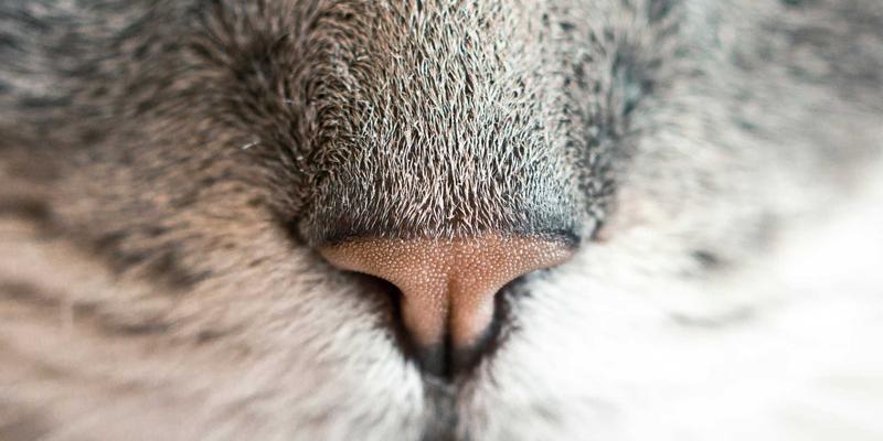 白云石：从冶金化工原料到建筑装饰瑰宝的华丽蜕变