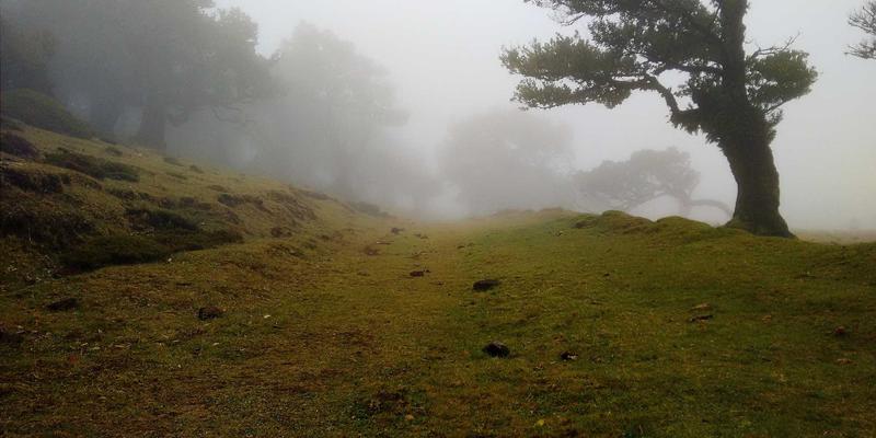 白云石在玻璃工业中的关键应用：揭秘其作为稳定剂与熔剂的工业原料价值