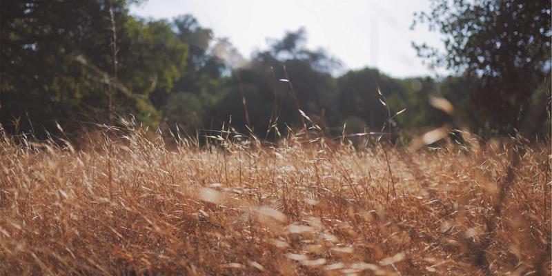 白云石在陶瓷釉料中的双重功效：揭秘改善釉面性能与降低烧成温度的作用机理