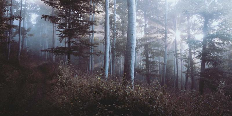 白云石耐火材料：冶金原料与化工原料中的高温守护者