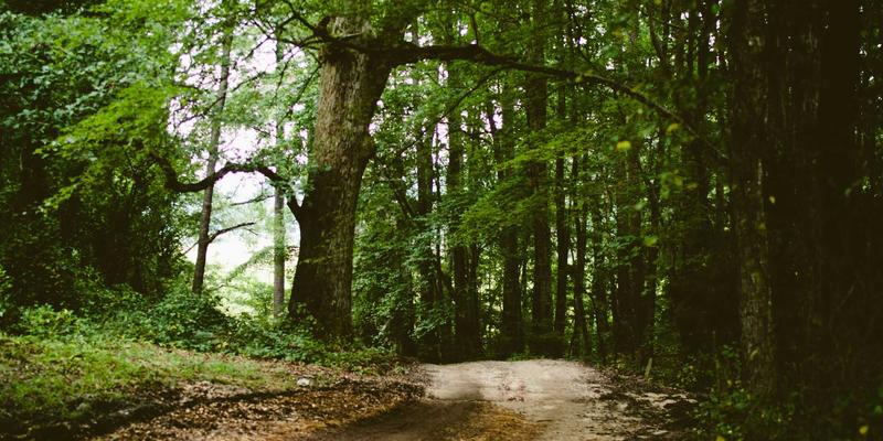 白云石：调节土壤pH值的天然矿物解决方案