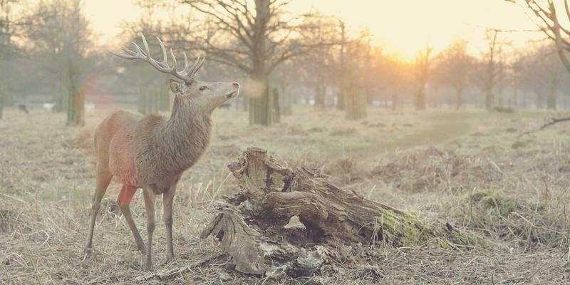 白云石骨料：从化工冶金原料到沥青混凝土的抗滑耐久性革命