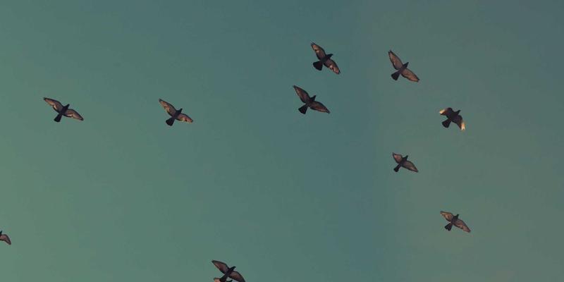 矿物供应新方向：白云石作为建筑原料如何提升沥青路面抗滑与耐久性