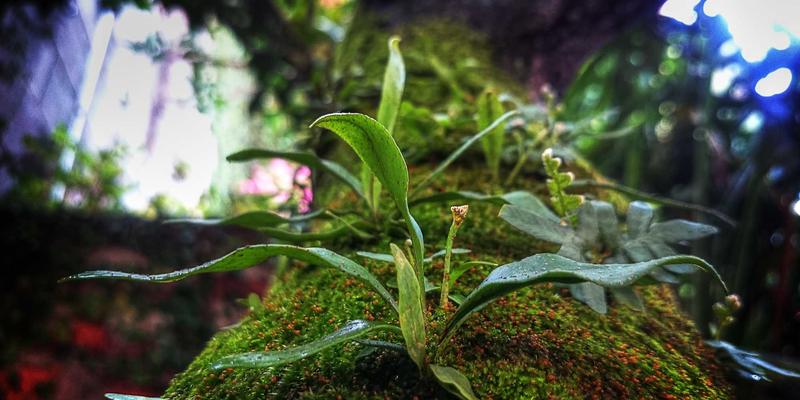 矿物供应新视角：白云石微粉如何提升涂料油漆的耐候性、白度与流平性